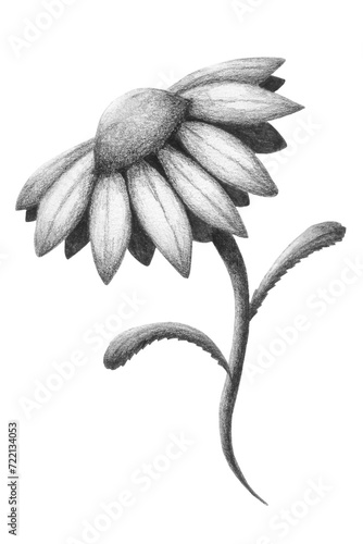 Handmade Daisy Graphite Flower