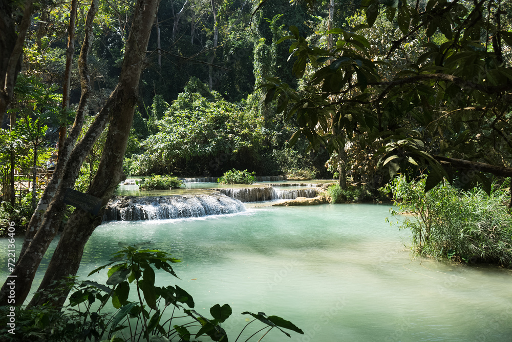 Obraz premium Tranquil cascade in a lush green forest
