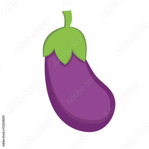 eggplant  aubergine on white background .vector illustration