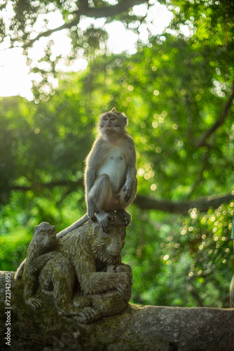 A monkey sitting atop a statue in a lush green setting.