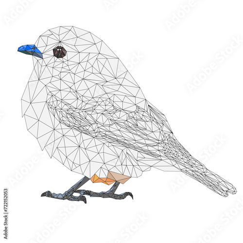 Blue.bird small birds thrush outline low-polygon on a white background   vintage  vector illustration editable hand draw