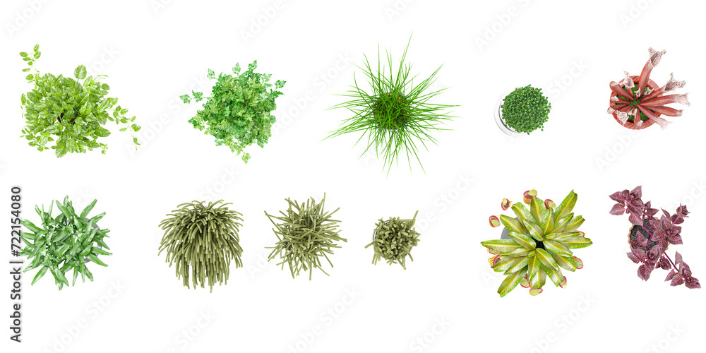 Different plants in pots,flowerpots or vases with houseplants from top view Different plants in pots,flowerpots or vases with houseplants from top view