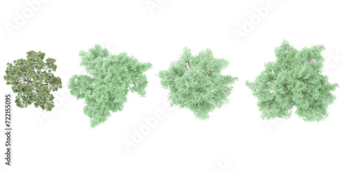 Set of green trees isolated on white background from top view