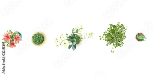 set of House Planter PNG & PSD Images from top view