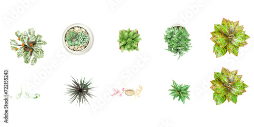 set of indoor House Planter isolated on a white background from top view