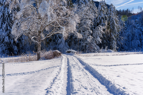 road in the snow