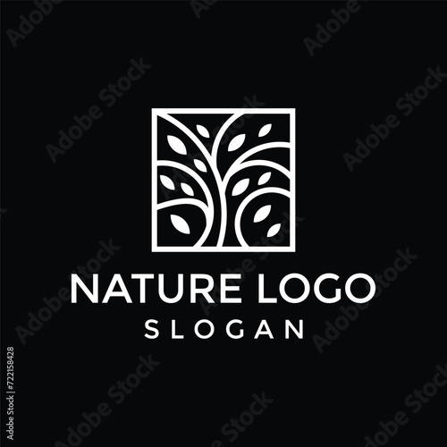 Olive tree logo. Extra virgin olive oil label icon. Tree of life symbol.
