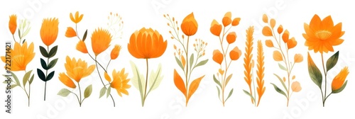 Orange several pattern flower, sketch, illust, abstract watercolor, flat design