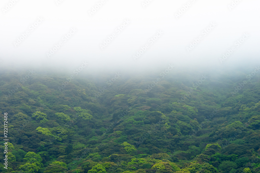 霧雨の雲に隠れる新緑の山肌20200504