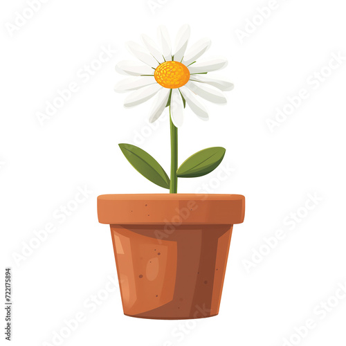 Illustration of daisy flower in pot isolated on transparent background © zenith