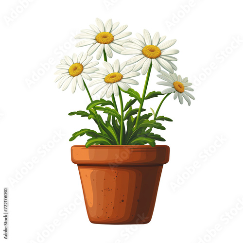 White daisies illustration in pot isolated on transparent background © zenith