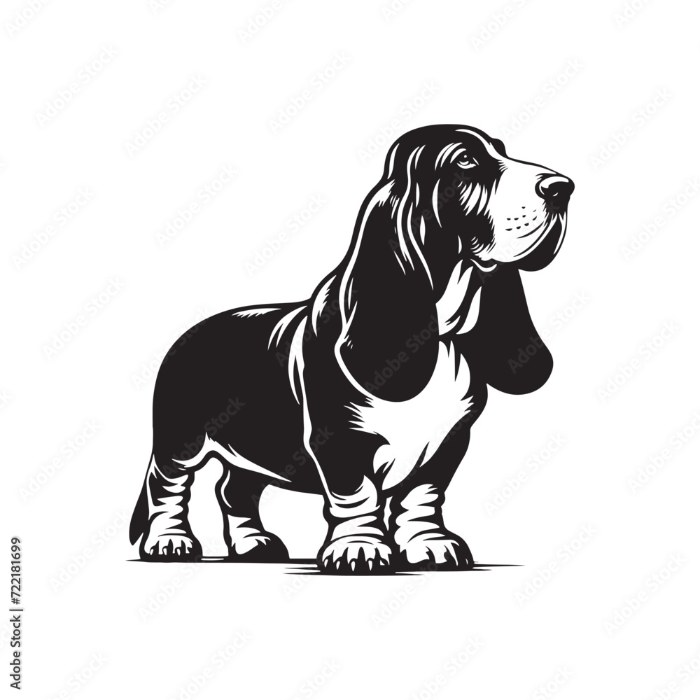 Graceful Basset Hound: A Captivating Collection of Animal Silhouettes Featuring the Elegant Basset Hound - Basset Hound Illustration - Basset Hound Vector - Dog Silhouette
