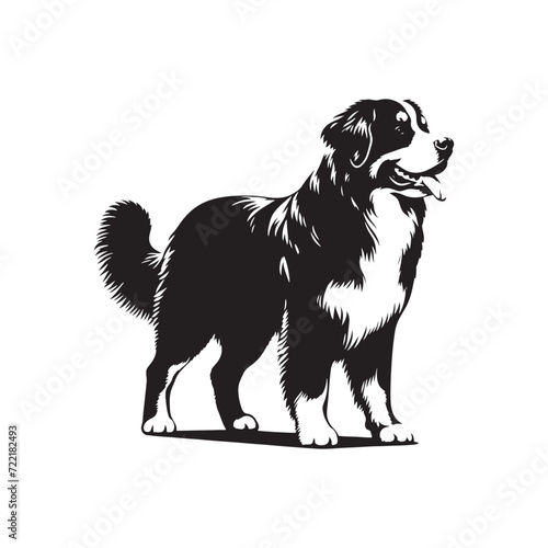 Alpine Majesty: Bernese Mountain Dog Silhouette Series Evoking the Picturesque Beauty of These Dogs in Silhouette Form - Bernese Mountain Dog Illustration - Bernese Mountain Dog Vector
