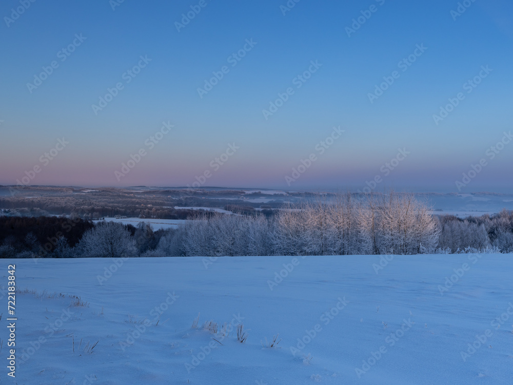 Winter sunset over the tops of frozen trees