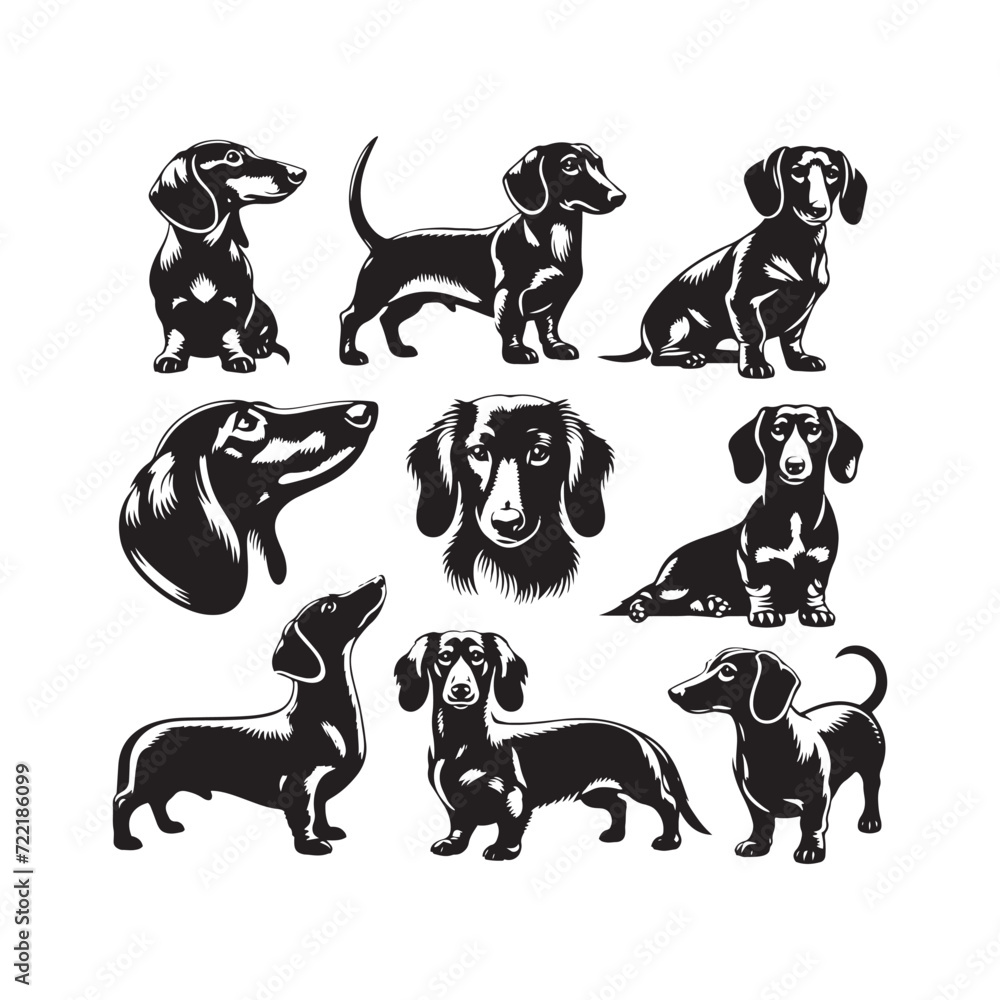 Dachshund Dazzle: Silhouettes of these Enchanting Dogs, Radiating Charm, Elegance, and a Hint of Mischievous Delight - Dachshund Illustration - Dachshund Vector - Dog Silhouette
