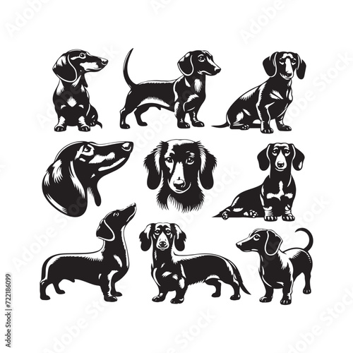 Dachshund Dazzle: Silhouettes of these Enchanting Dogs, Radiating Charm, Elegance, and a Hint of Mischievous Delight - Dachshund Illustration - Dachshund Vector - Dog Silhouette
