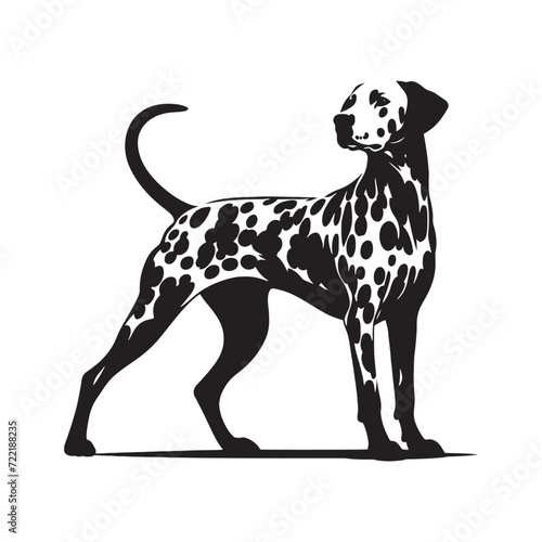 Dalmatian Silhouette Set  A Versatile Collection of Dog Profiles Perfect for Various Creative Projects - Dalmatian Illustration - Dalmatian Vector - Dog Silhouette 