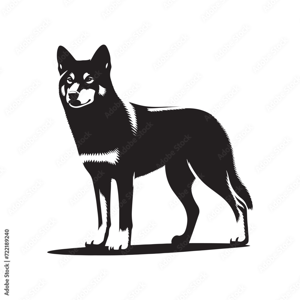 Graceful Shadows: Dingo Silhouettes Portraying the Grace and Elegance Inherent in These Wild Creatures - Dingo Illustration - Dingo Vector - Dog Silhouette
