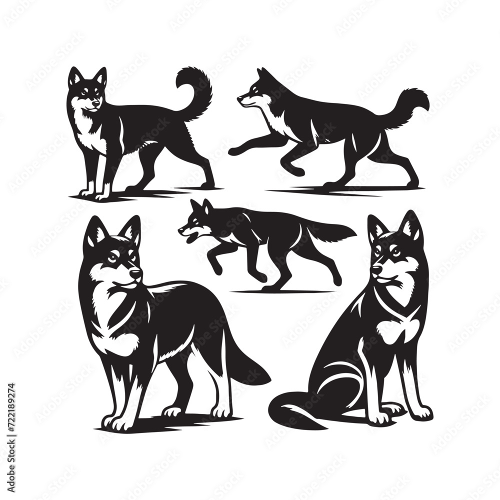 Spirited Outlines: A Diverse Array of Dingo Silhouettes Displaying the Spirited Nature of These Indigenous Dogs - Dingo Illustration - Dingo Vector - Dog Silhouette

