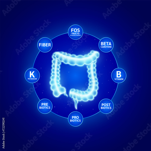 Create balance for the intestines too probiotic prebiotic postbiotics and fiber beta carotene. Protect build immunity for the body. Healthy human skeleton anatomy. Medical health care. Vector.