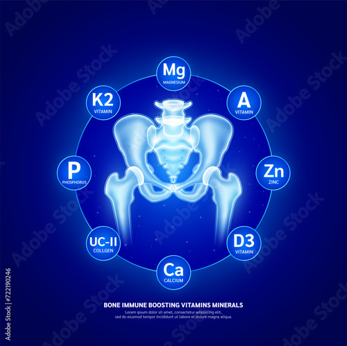 Bone immune boosting too vitamins minerals calcium magnesium phosphorus zinc and collagen. Protection pelvis joint from arthritis. Healthy human skeleton anatomy. Vector EPS10.