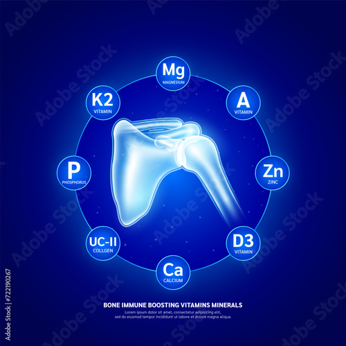 Bone immune boosting too vitamins minerals calcium magnesium phosphorus zinc and collagen. Protection shoulder joint from arthritis. Healthy human skeleton anatomy. Vector EPS10.
