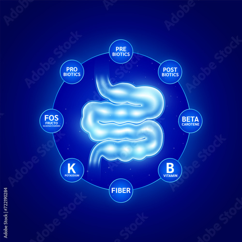 Create balance for the small intestines too probiotic prebiotic postbiotics and fiber beta carotene. Protect build immunity for the body. Healthy human skeleton anatomy. Medical health care. Vector.