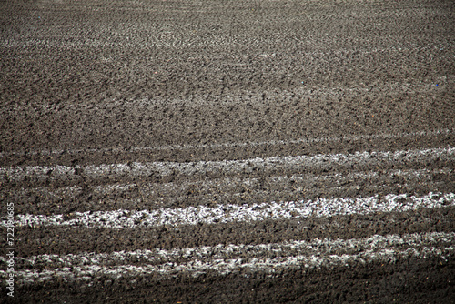 Drying of feces in a special pond. Lake for drainage of sewage. Drying of feces in a special pond for organic fertilizers.