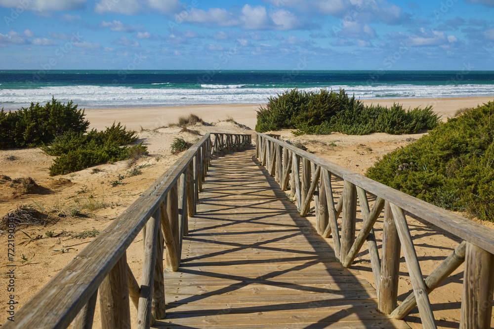 Wooden path to the sea through sand dunes overgrown with bushes Wooden path to the sea through sand dunes overgrown with bushes