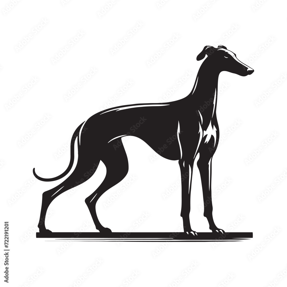 Obraz premium Dynamic Flow: Greyhound Silhouette Collection Capturing the Dynamic and Fluid Movements of Greyhounds - Greyhound Illustration - Greyhound Vector - Dog Silhouette 