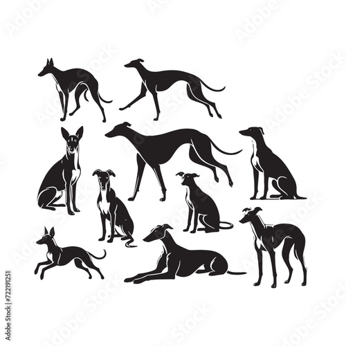 Ethereal Elegance: Greyhound Silhouette Collection Evoking an Ethereal Aura of Grace and Agility - Greyhound Illustration - Greyhound Vector - Dog Silhouette
