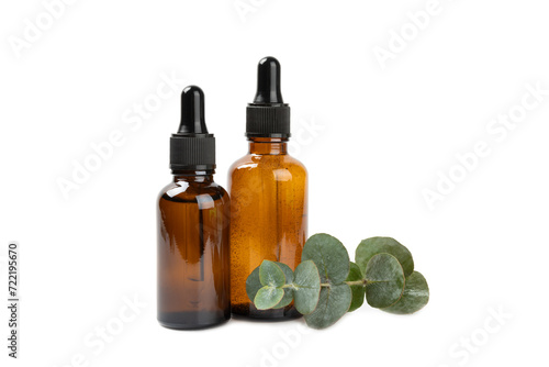 Eucalyptus essential oil in a glass bottle with green eucalyptus leaves isolated on white background. Aromatherapy. Spa. Concept of natural cosmetology and beauty industry.