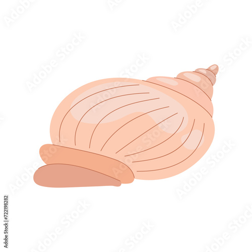 Vector flat illustration of sea shell. Underwater inhabitants of the seabed.