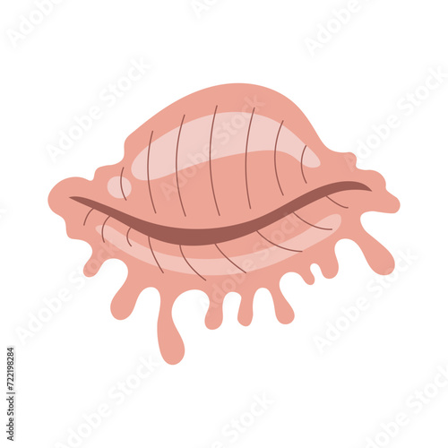 Vector flat illustration of sea shell. Underwater inhabitants of the seabed.