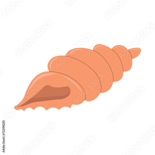 Vector flat illustration of sea shell. Underwater inhabitants of the seabed.