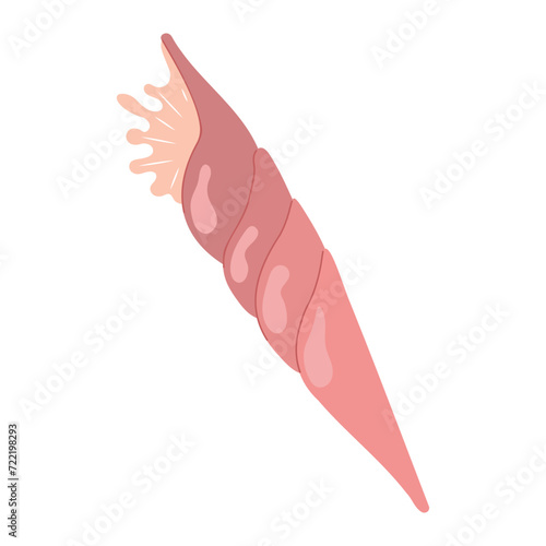 Vector flat illustration of sea shell. Underwater inhabitants of the seabed.