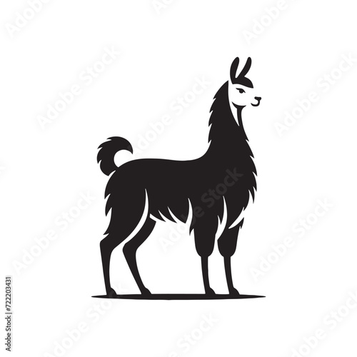Luminous Lama Portraits: Lama Silhouettes Capturing the Radiant Beauty of These Graceful Beings - Lama Silhouette - Lama Vector
