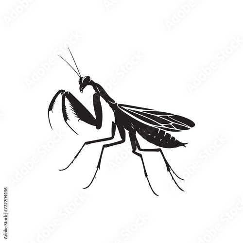 Mystical Mantodea: A Compilation of Mantis Silhouettes Unveiling the Mysteries of Nature's Green Guardian - Mantis Illustration - Mantis Vector - Grasshopper Vector
