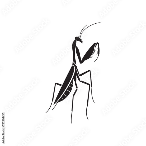 Stealthy Silhouettes: A Series of Mantis Shadows Exhibiting the Stealth and Poise of Nature's Green Predator - Mantis Illustration - Mantis Vector - Grasshopper Vector 