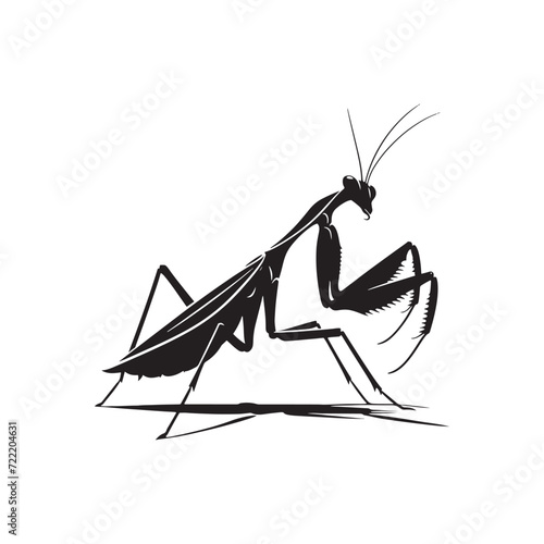 Insect Reverie: Mantis Silhouette Set Inspiring a Reverie of Nature's Intricate Insect Ballet - Mantis Illustration - Mantis Vector - Grasshopper Vector
