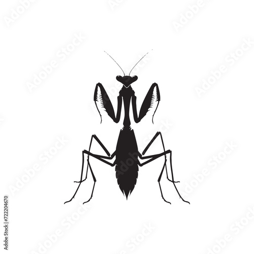 Mantis Medley: Silhouette Montage Featuring the Diverse Postures of Nature's Mysterious Mantis - Mantis Illustration - Mantis Vector - Grasshopper Vector
