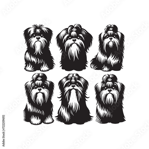 Furry Friends Forever: Shih Tzu Silhouette Ensemble Celebrating the Timeless Bond Between Canines and Humans - Shih Tzu Illustration - Shih Tzu Vector - Dog Silhouette 