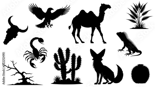 Stylish silhouettes of desert