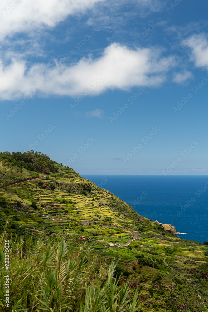 Beautiful Island of Madeira 15