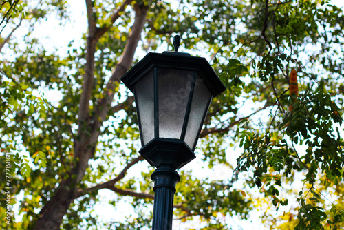 Vintage park street lamp post
