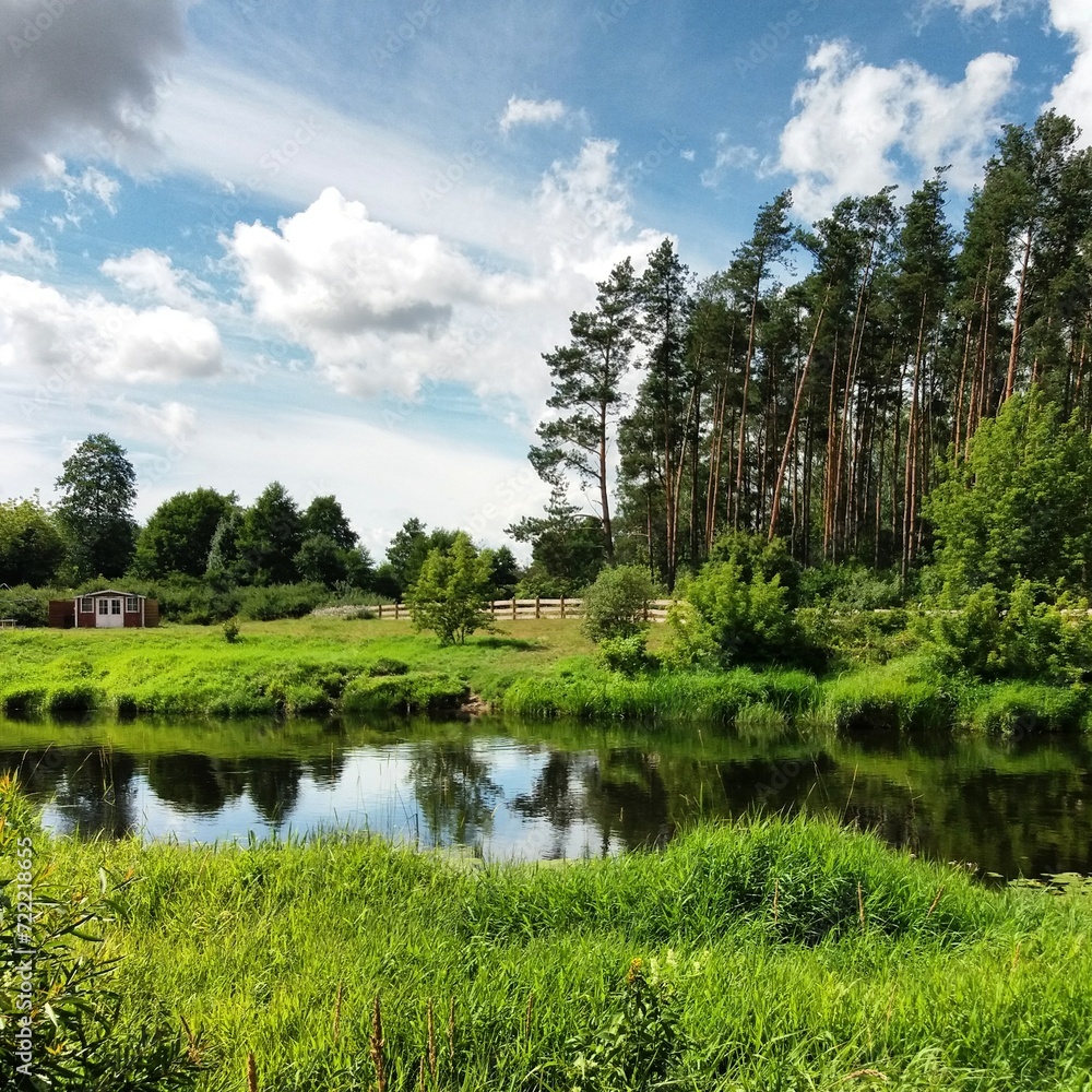 Obraz premium lake in the forest