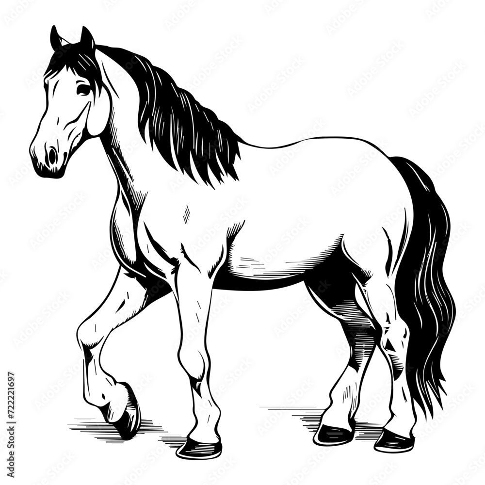 Clydesdale horse icon illustration, Clydesdale horse silhouette logo svg vector