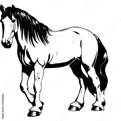 Clydesdale horse icon illustration  Clydesdale horse silhouette logo svg vector