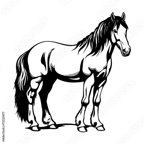 Clydesdale horse icon illustration  Clydesdale horse silhouette logo svg vector