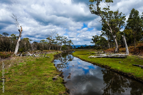 Marsh area on Maria Island, Tasmania, Australia